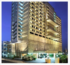 Hotel Holiday Inn 5*